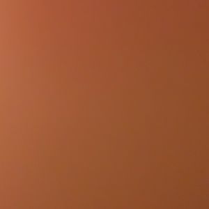 Meet your Posher, Lydia